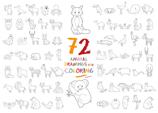 Set of 72 Animal Drawings for Coloring