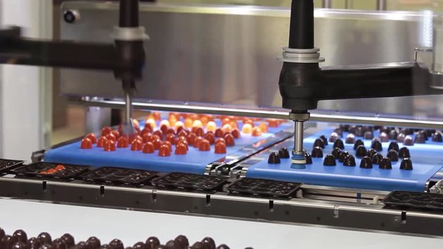 Picker line for chocolate bears, cookies, candies. Close up working process of transporter equipment