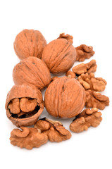 walnut