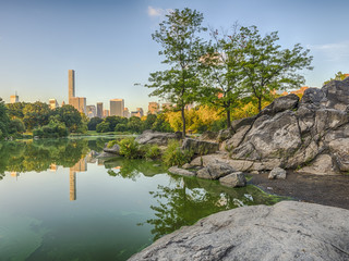 At the lake in summer