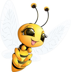 beautiful cute bee
