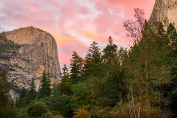 Cliff and trees at the Yosemite National Park at sunrise, USA