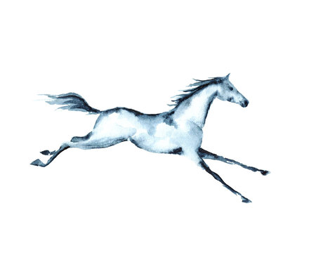 Hand painting watercolor galloping horse on white. 