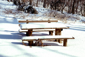 Park bench covered with snow
