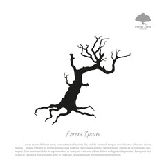 Silhouette of the old broken tree on a white background. Black d