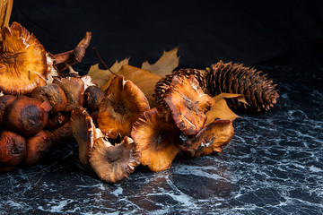 Wild mushrooms on black marble background.
