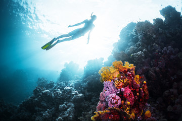 Free diver gliding underwater over vivid coral reef in a tropical sea