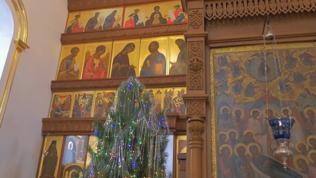 a Very Beautiful Iconostasis With Flowers and Fir Tree Before it in Old Orthodox Cathedral on the Eve of New Year`s Day in Kiev