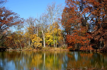 Beautiful Autumn Day and Fall Foilage