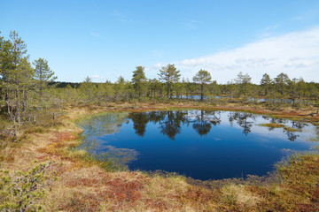 Small blue lake in the middle of the Viru Raba bog in Estonia