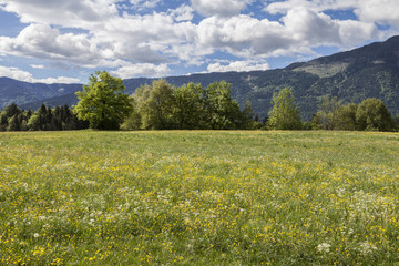 Obraz premium Gailtal, Kaernten