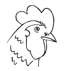 Doodle rooster chicken with red background