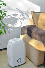 Portable dehumidifier colect water from air