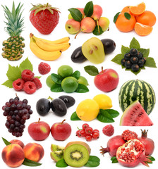 Fruit