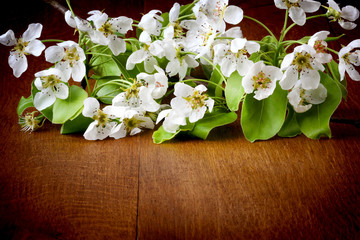 apple Blossoms on wooden background