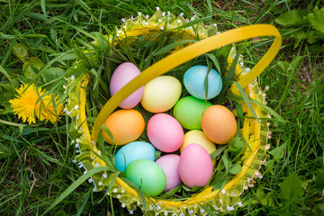colorful easter eggs in basket on lawn with dandelions