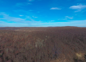 Aerial view of the autumn under the blue sky.