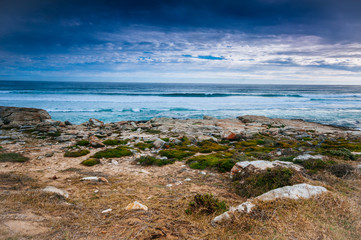 Cape of Good Hope, South Africa