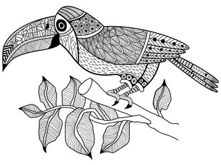 Toucan bird on a branch Coloring book vector for adults