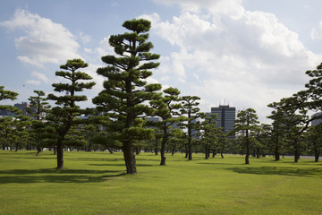 松林　皇居