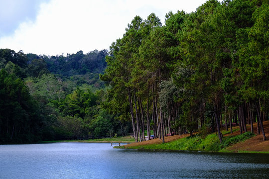 Forest and lake in Pangung national park / Forest and lake in Pangung national park, Mae Hong Sorn province, north of Thailand