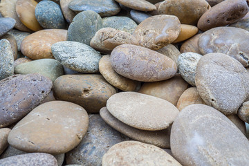 sea stones