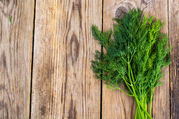 Fresh bunch of dill on the background of old board