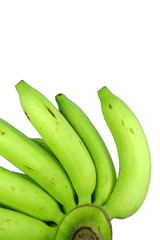 bunch of green raw bananas