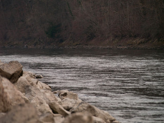 River Aare in the city of Bern, Switzerland