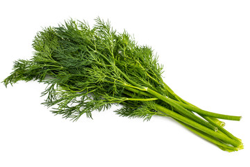 Dry seeds and green sprigs of dill on a white background