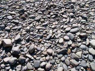 Stones at a river while low water