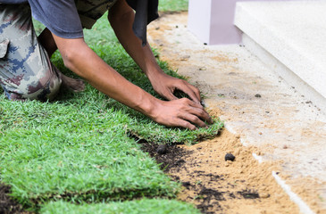 Fototapeta na wymiar Worker unrolling laying sod for new grass