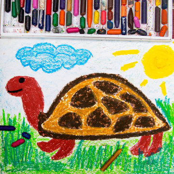Colorful drawing: happy turtle on the grass