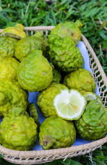 the bergamot