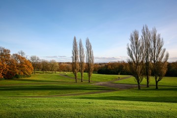Fototapeta na wymiar Beautiful autumn landscape with coloured trees, blue sky and green field.