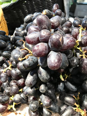 Closed up pile of black grapes in the market