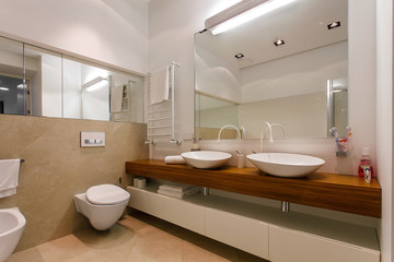 Fototapeta na wymiar interior of a modern bathroom