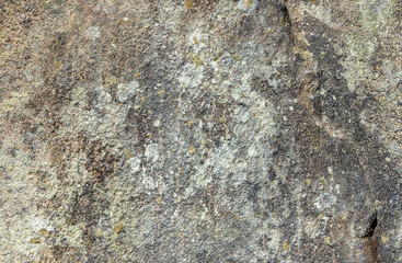 Fototapeta premium Large gray stone texture, background