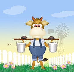 cow's milk on the farm