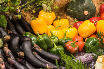 Group of various fresh vegetables for healthy.Select focus