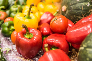Group of various fresh vegetables for healthy.Select focus
