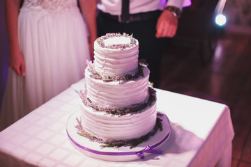 Wedding cake at the Banquet. Cutlery.
