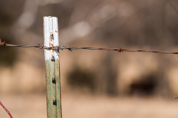 Close up of old barbed wire fence post