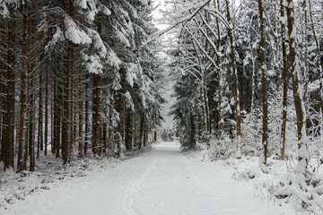 Winterwanderweg