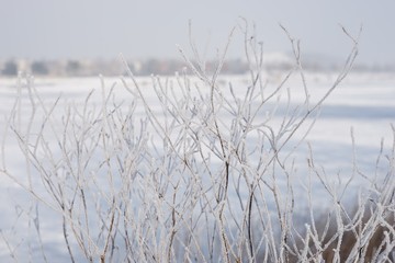 Winterlandschaft am See
