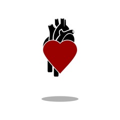 Love human heart icon vector
