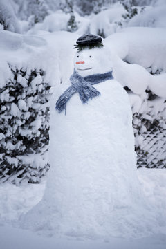 Snowman in the garden