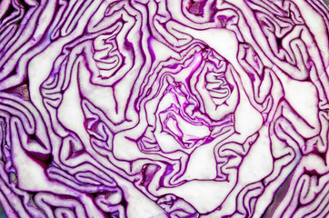Obraz premium Purple cabbage texture plant fiber stripes pattern