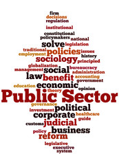 Public Sector, word cloud concept 7