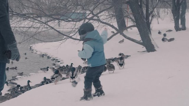 A child feeding the duks in winter park